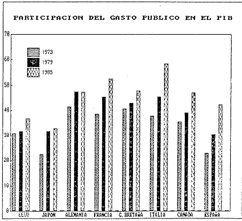 GRAFICO 11