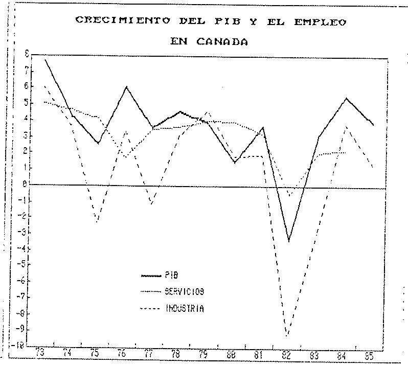 GRAFICO 6