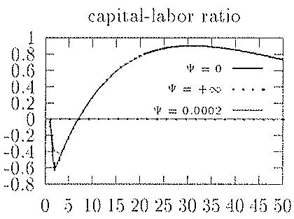 Figure 3: Impulse Response to a Technological Shock (iii)